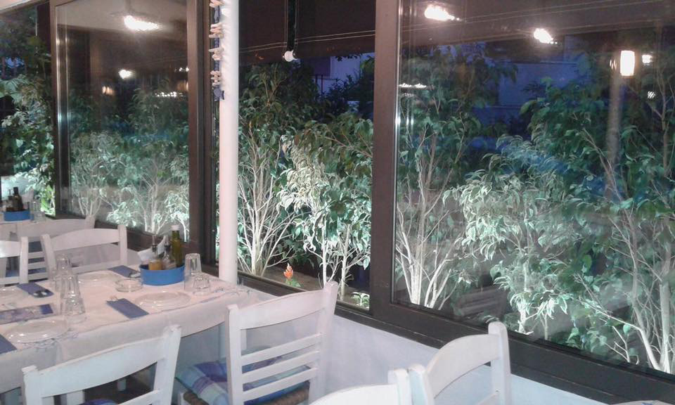 Deniz Meze 3