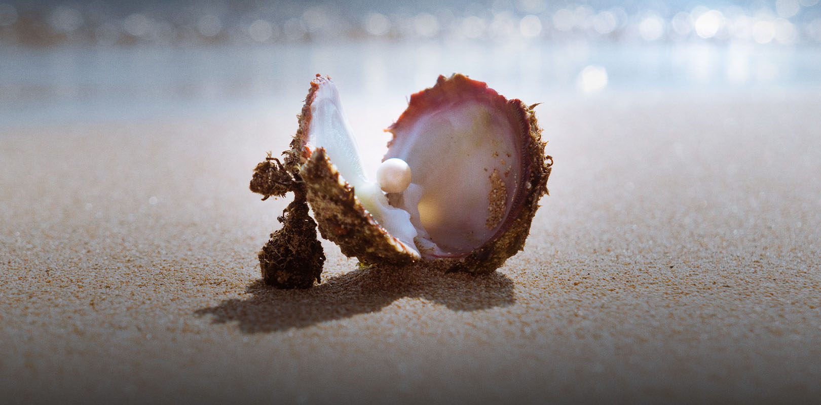 GF Hellas Invest Domestic Balanced Fund