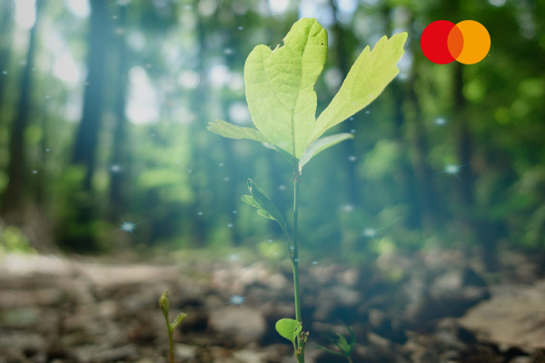 Η νέα πιστωτική κάρτα σας Mastercard γίνεται ο σπόρος για ένα καλύτερο περιβάλλον