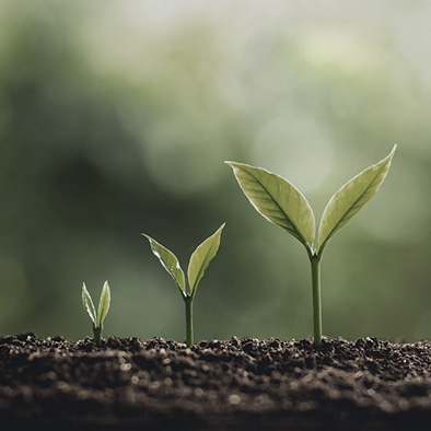 ESG: τρία γράμματα, ένα megatrend