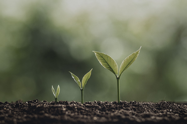 ESG: τρία γράμματα, ένα megatrend