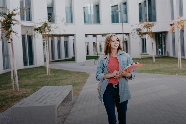 Promoting interconnection with the job market