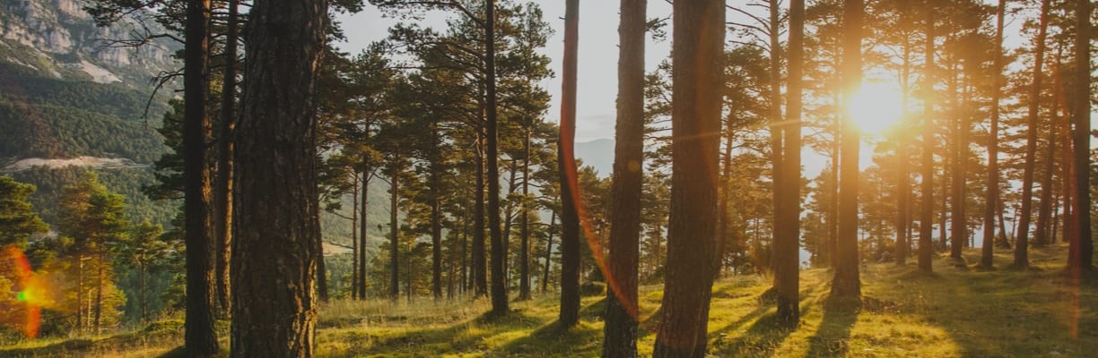 <p>ESG &ndash; Environment, Society, Governance</p>