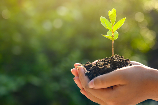 Eurobank donates €1 million for fire – protection & sustainable reforestation