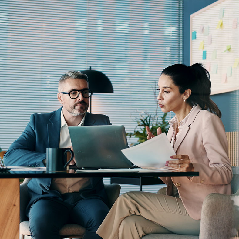 What is the mentoring process