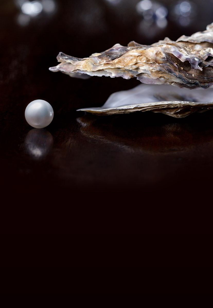 &Alpha;&mu;&omicron;&iota;&beta;&alpha;ί&omicron; &kappa;&epsilon;&phi;ά&lambda;&alpha;&iota;&omicron; (LF) Fund of Funds Balanced Step In