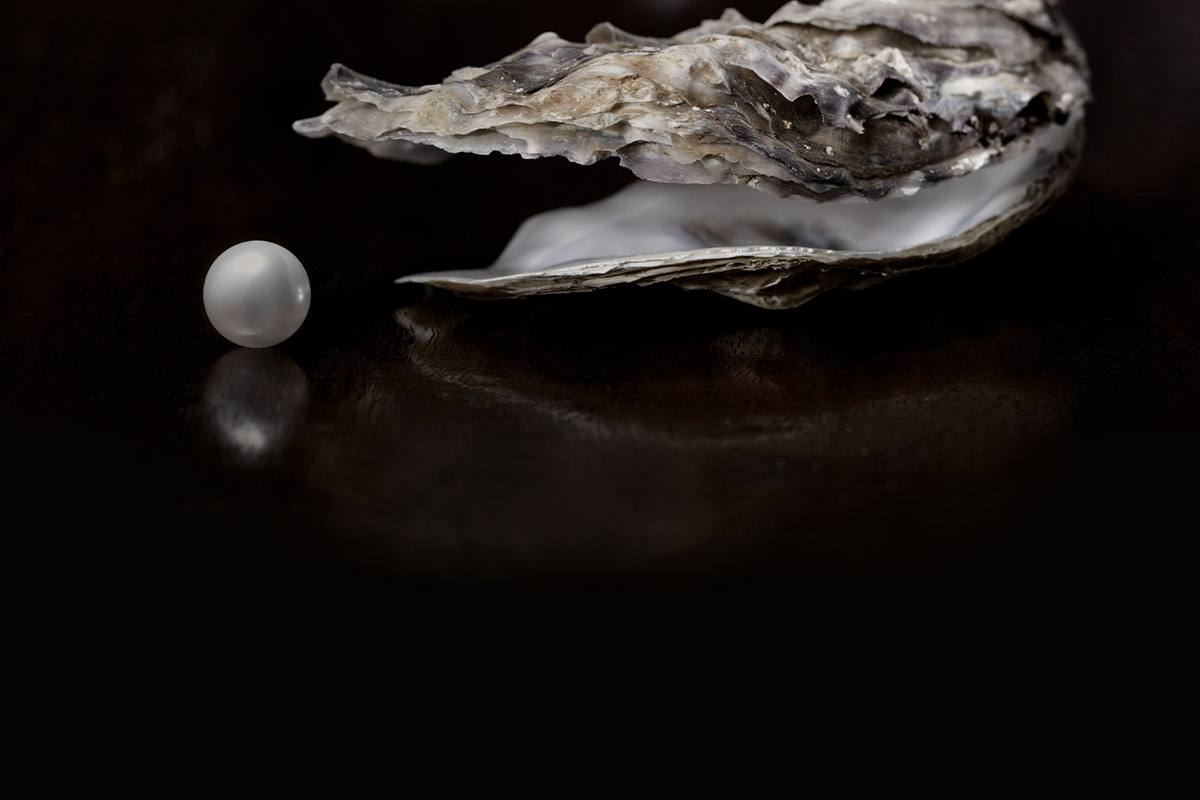 &Alpha;&mu;&omicron;&iota;&beta;&alpha;ί&omicron; &kappa;&epsilon;&phi;ά&lambda;&alpha;&iota;&omicron; (LF) Fund of Funds Balanced Step In