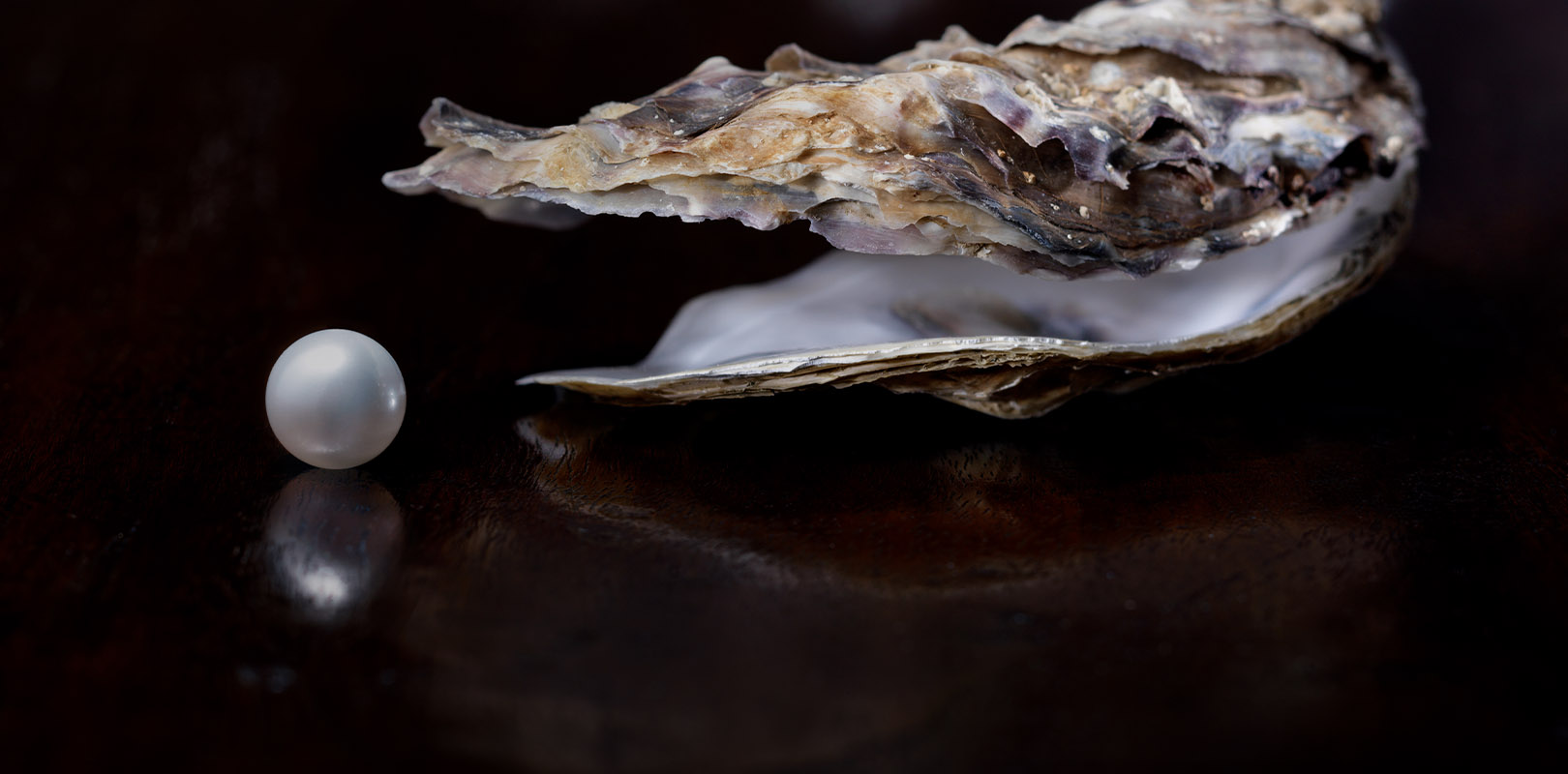 &Alpha;&mu;&omicron;&iota;&beta;&alpha;ί&omicron; &kappa;&epsilon;&phi;ά&lambda;&alpha;&iota;&omicron; (LF) Fund of Funds Balanced Step In