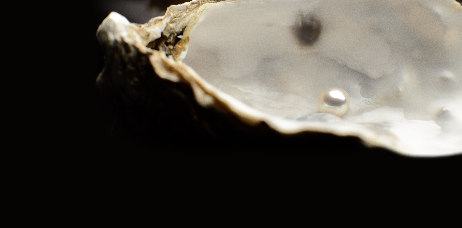 (LF) Target Maturity IX Bond Fund